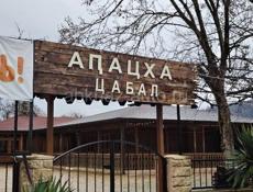 Сдается в аренду апацха