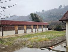 Сдается в аренду апацха