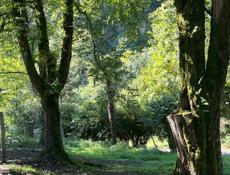 Посёлок цандрипш