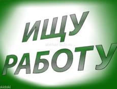 Ищу работу