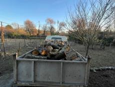 Дрова Ольха