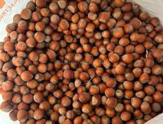 В продаже орех 