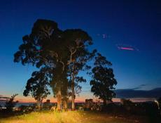 Сниму на длительный срок двух комнатный домик  или квартиру 