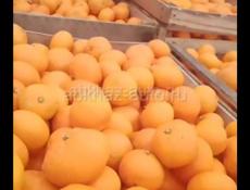 мандарин продаю две тоны средний крупный по 70  , ниже  средний по сорок й 