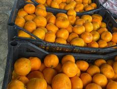 Подам мандарины 