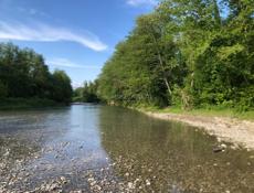 УЧАСТОК ТАМЫШ С ВЕТХИМ СТРОЕНИЕМ КОММЕРЦИЯ