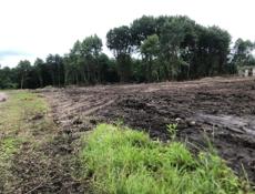 УЧАСТОК ТАМЫШ С ВЕТХИМ СТРОЕНИЕМ КОММЕРЦИЯ