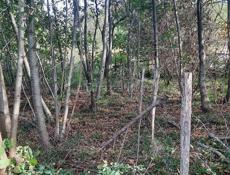 УЧАСТОК АЛАХАДЗЫ