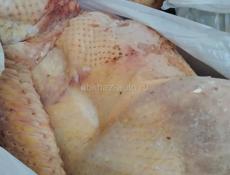 Птица (индюшки) местные 