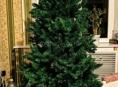 Ёлка 1,8