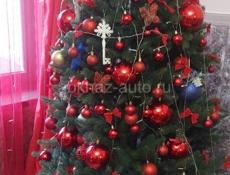 Сдам квартиру в Синопе (где амобайл).