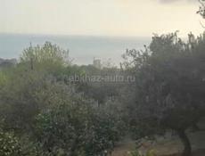 УЧАСТОК ГАГРА