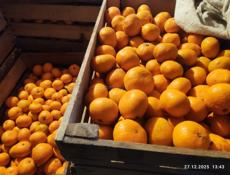 Мандарины 