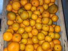 Мандарины 