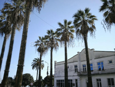 Камера PaperShoot