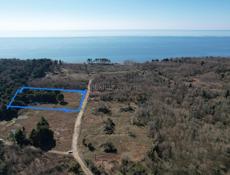 Продается земельный участок 1-га Цкургил-залив скурча . Расположен на берегу моря на границе адзюбжа-кфндыг , рядом с горячим источником 