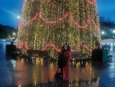 Частные занятия с репетитором в городе Сухум.