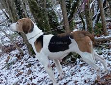 Потерялась район Сухум Гэса