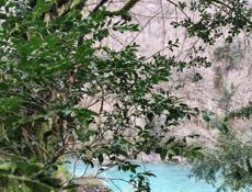 Кафе "Сойка"