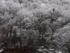 Кафе "Сойка"