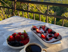 Продам. Эшера. Хороший торг