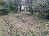 Земля под постройку дома