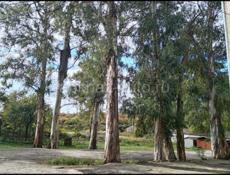 Земля под постройку дома