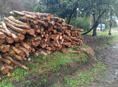 Продаётся дрова
