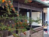 🌸ПРОДАЕТСЯ ДОМ. АГУДЗЕРА 🏖️