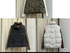 Женская одежда 