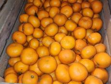 Мандарины