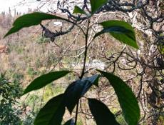 Сниму Домик 🏡 или Квартиру 