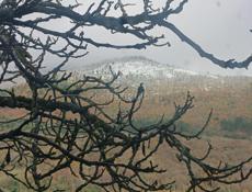 Сниму Домик 🏡 или Квартиру 