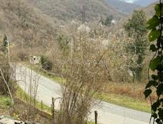 Рицинское ущелье