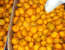 На сок мандарин около 500 кг . По 15 руб.цена снижена 