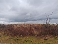 Первая полоса 