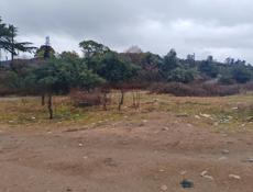 Первая полоса 