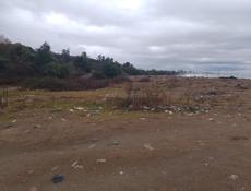 Первая полоса 