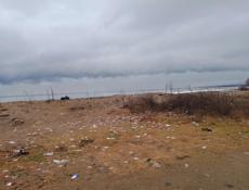 Первая полоса 