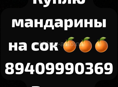 Куплю мандарины на сок 