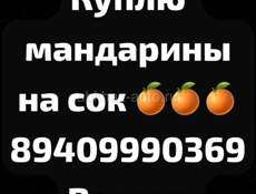 Куплю мандарины на сок 