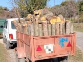 Продаю дрова Альха 6000 и. с доставкой под камин 