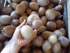 КИВИ МАНДАРИНЫ