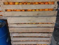 Мандарины для сока