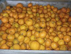 Мандарины для сока