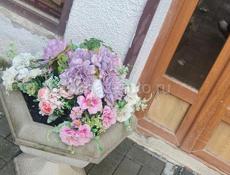 Нужен друг?