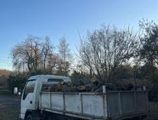 Дрова Ольха