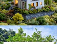 Абхазия Риелт Недвижимость 