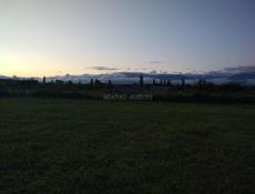 Участок рядом с пивным заводом 