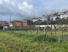 Продаю участок